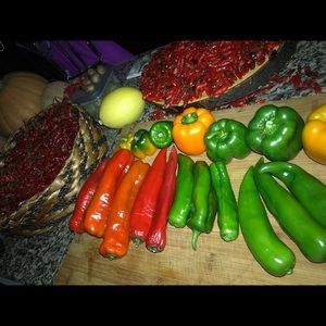 Meet your Posher, Jerome